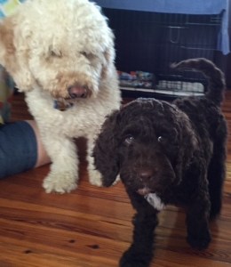 Chase and Pete Aug 11