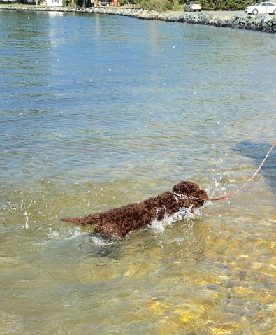 Tethered and anchored AND up to his ears