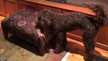 Pete meeting hassock