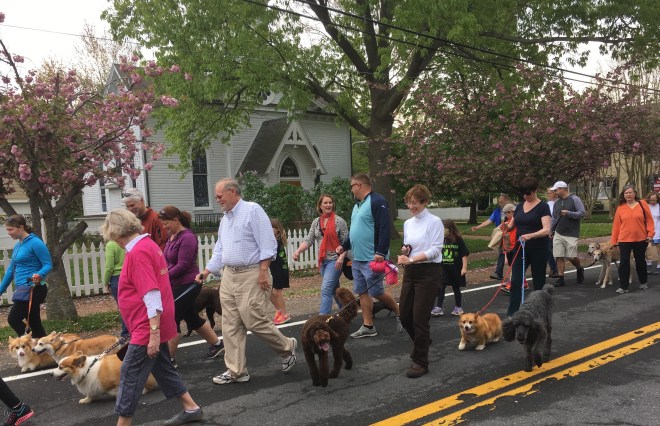 2016 Pete on Parade cropped