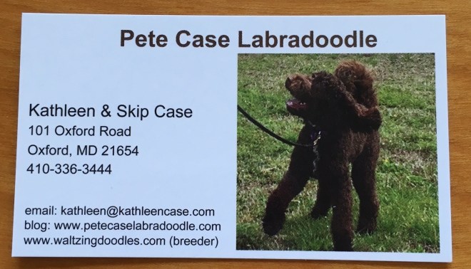 Pete Case biz card copy